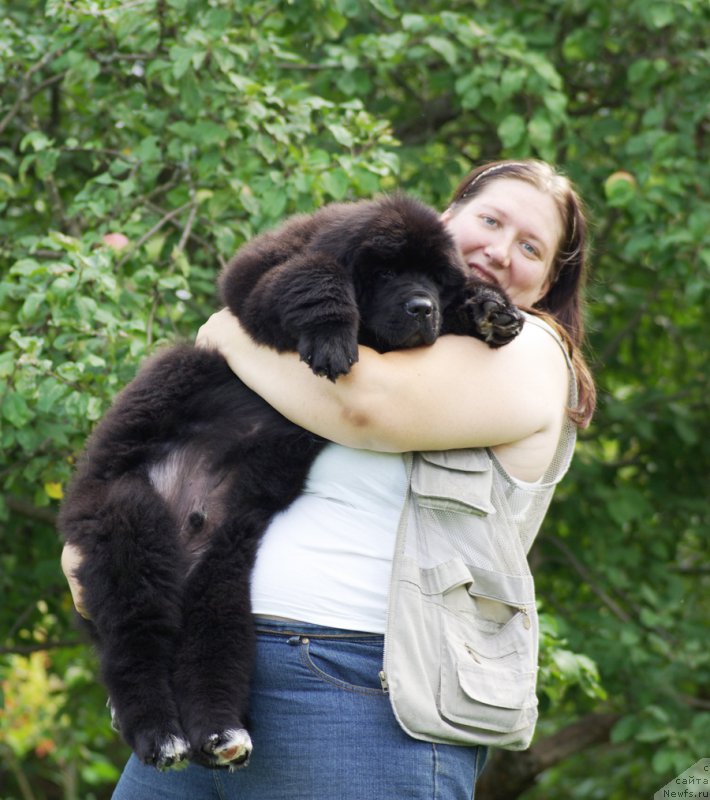 Фото: Екатерина Андрющенко