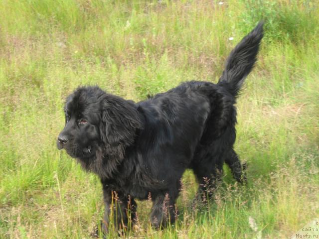 Фотография № 16180