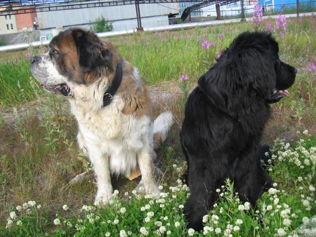 Фотография № 16181