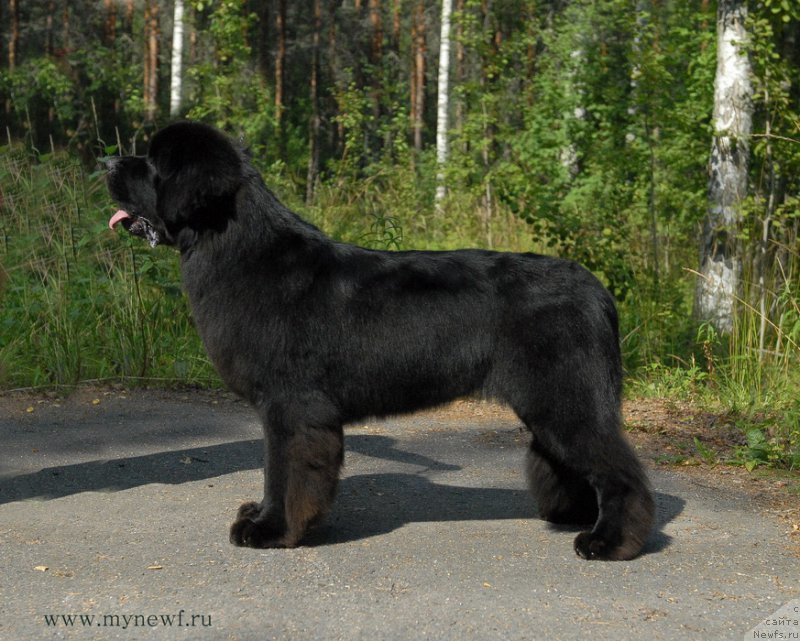 Фотография № 161820