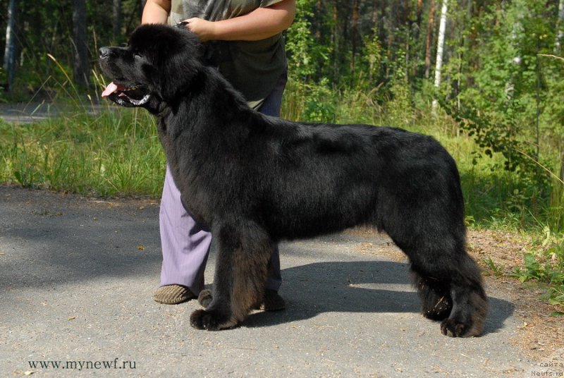 Фотография № 161822