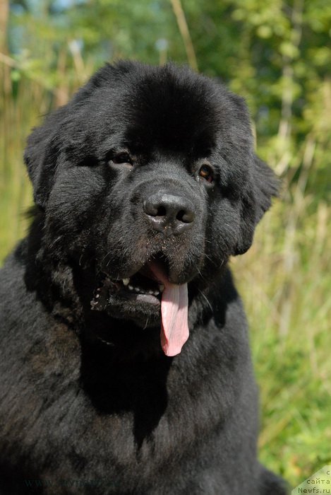 Фотография № 161825