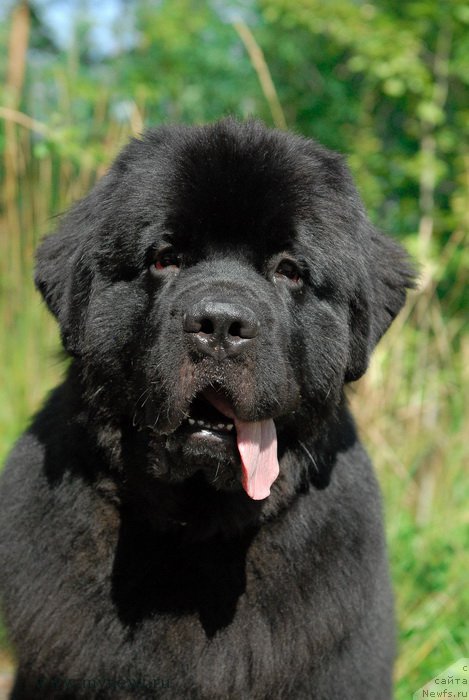 Фотография № 161826