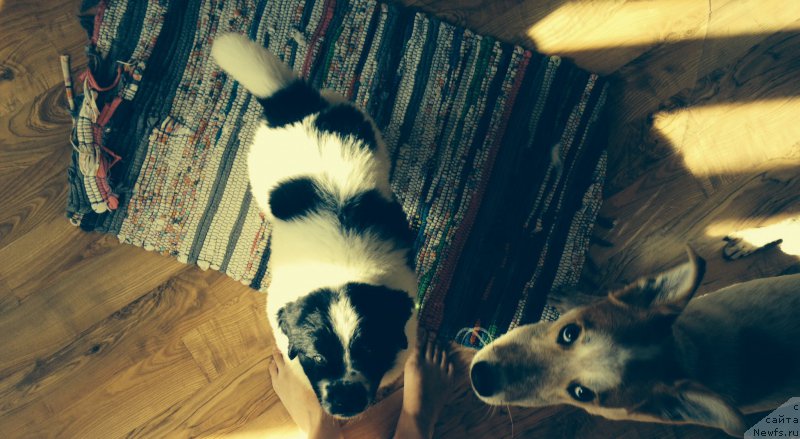 Фото: Ольга Гаврилюк