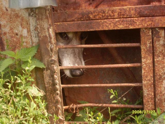 Фотография № 16184