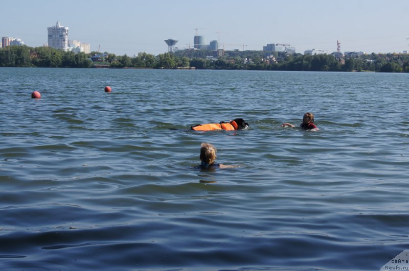 Фотография № 161845