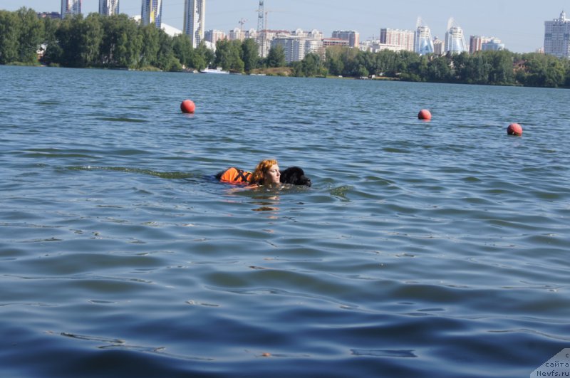 Фотография № 161849