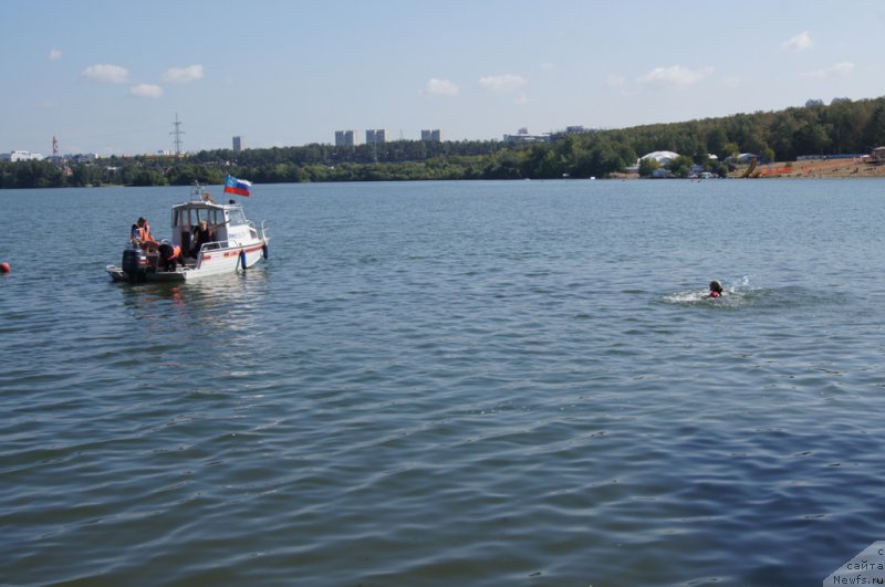 Фото: Ольга Музычук, ньюфаундленд Black Blues iz Volotova