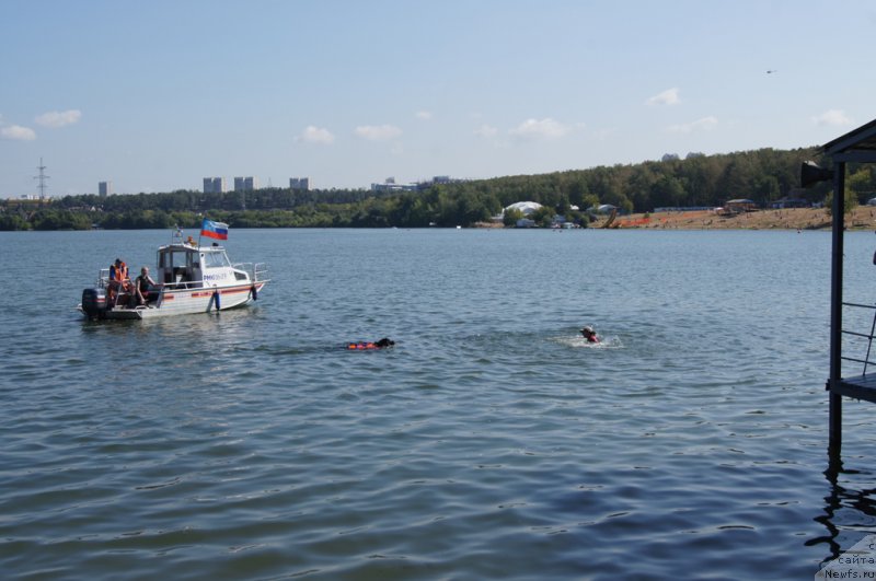 Фото: Ольга Музычук, ньюфаундленд Black Blues iz Volotova, Александра Фетисова