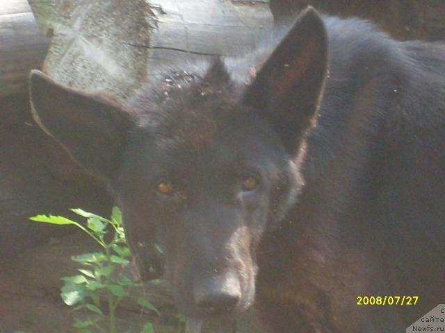 Фотография № 16186