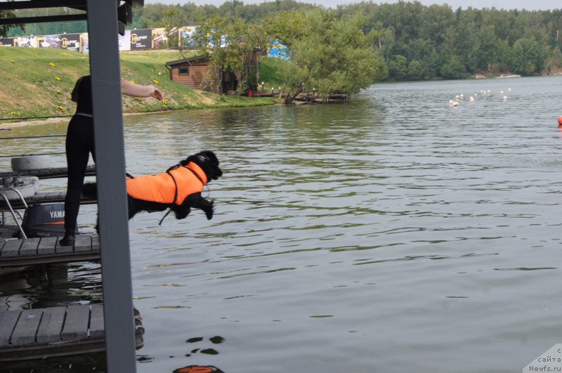 Фотография № 161864