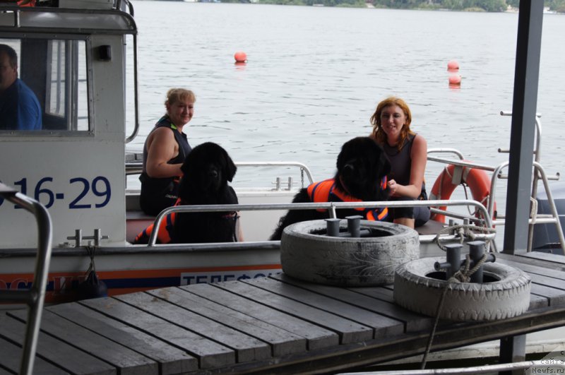 Фотография № 161865