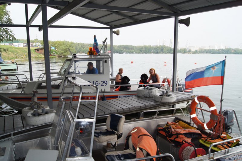 Фото: Антонина Чигвинцева, ньюфаундленд Топтыжка Герой Нашего Времени (Toptyzhka Geroy Nashego Vremeni), Елизавета Сафиуллина, ньюфаундленд Giacomo vom Darius Land