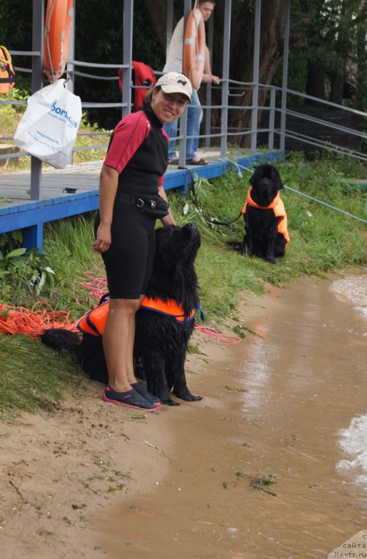 Фотография № 161869