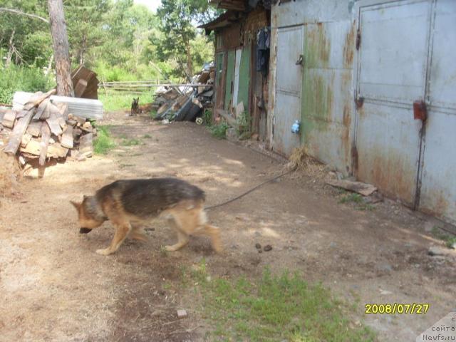 Фотография № 16187