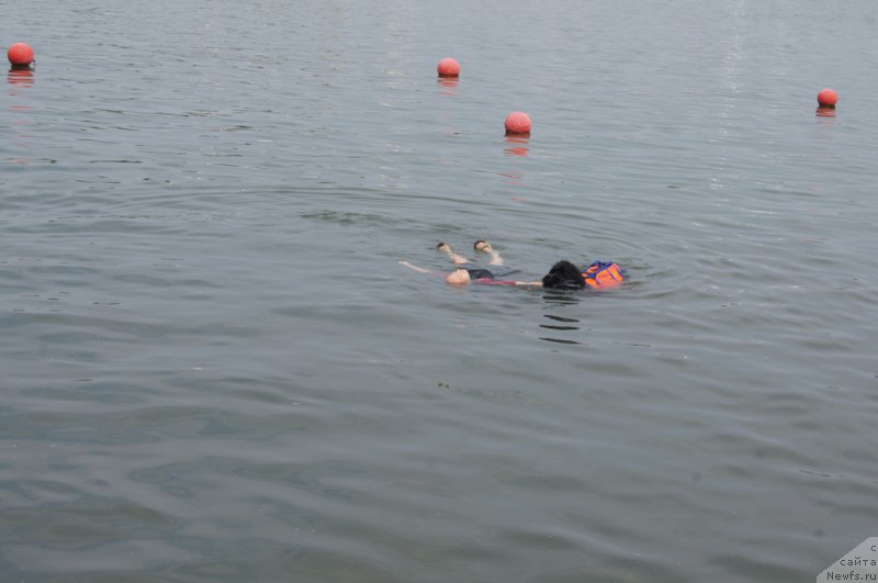 Фотография № 161871