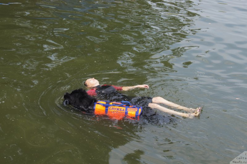 Фотография № 161872