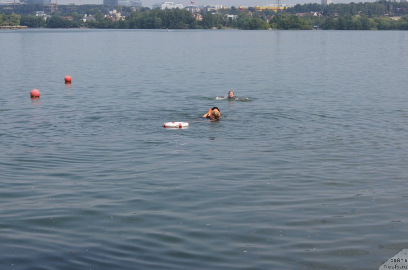 Фотография № 161877