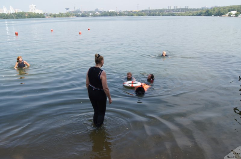 Фотография № 161879