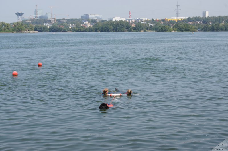 Фотография № 161881