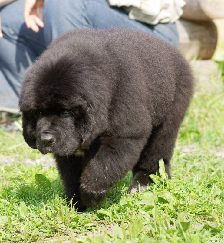 Фотография № 161899