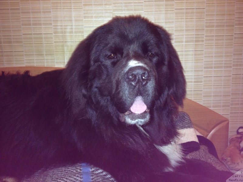 Фотография № 161922