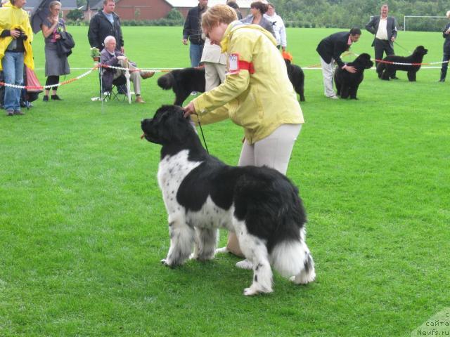 Фотография № 16196