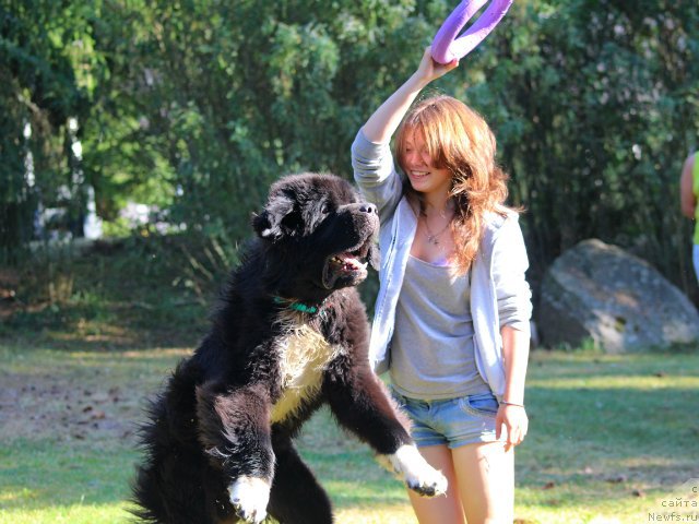 Фотография № 161960