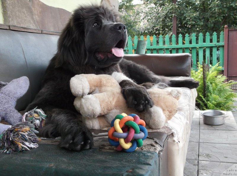 Фотография № 161991