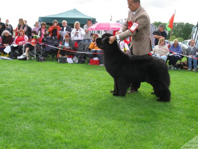 Фотография № 16201