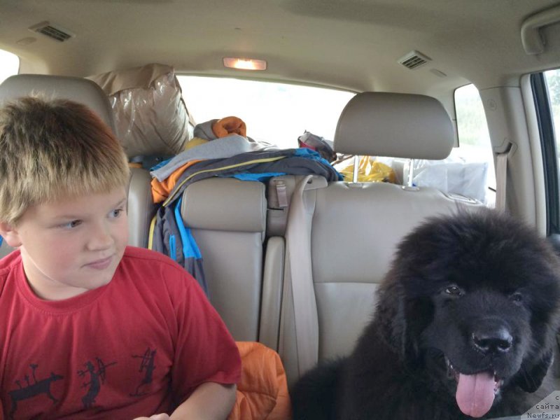 Фотография № 162031