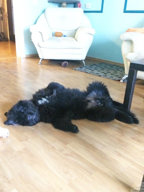 Фотография № 162033