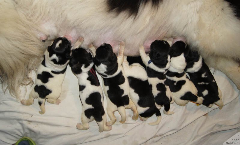 Фотография № 162122