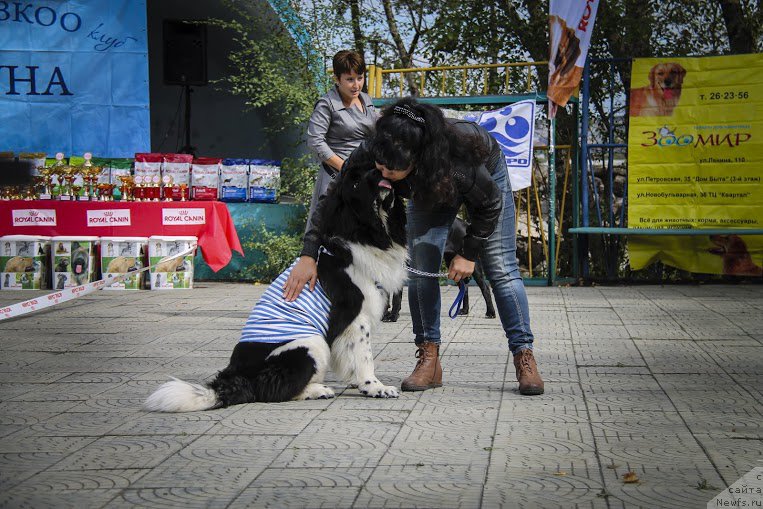 Фотография № 162127