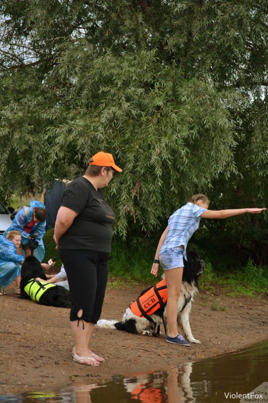 Фото: ньюфаундленд Кипер Соул Ноу Даут Бэст (Keeper Soul Nou Daut Best)