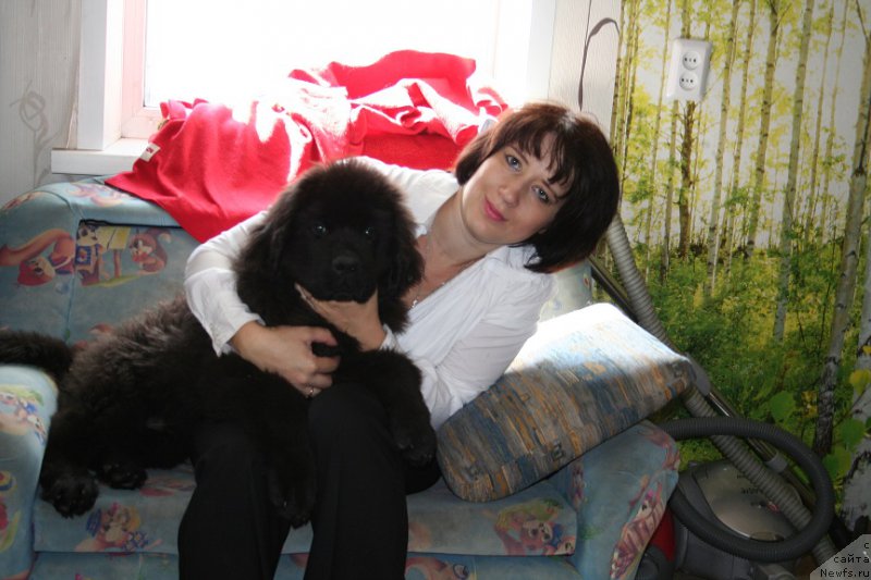 Фотография № 162185