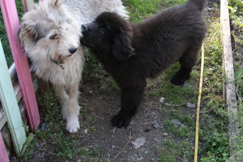 Фотография № 162186