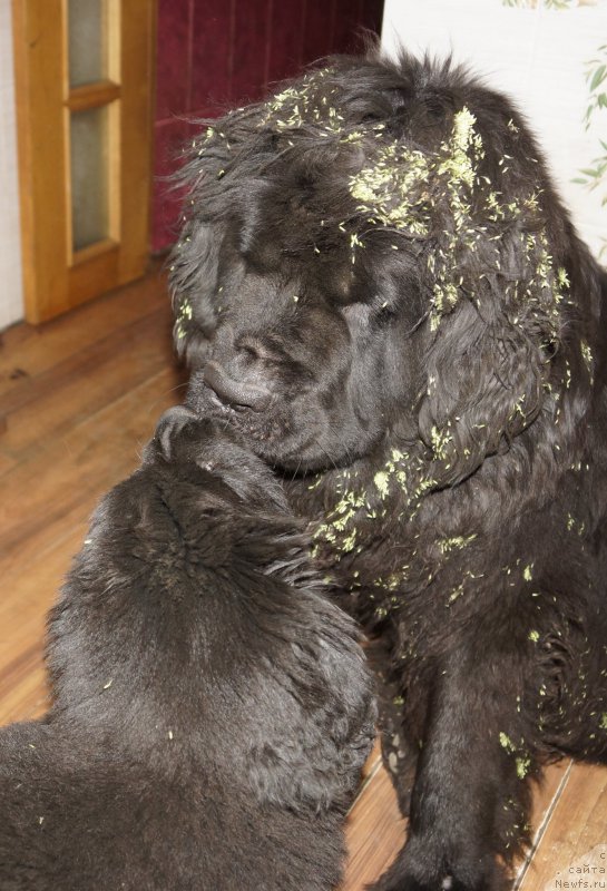 Фотография № 162193