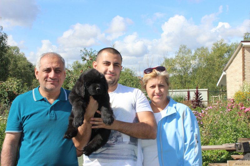 Фотография № 162213