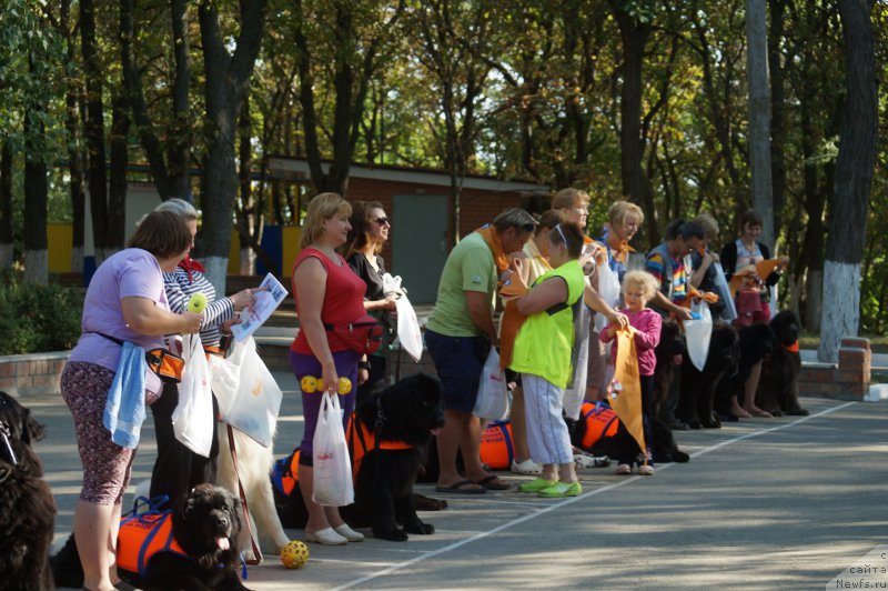 Фотография № 162242