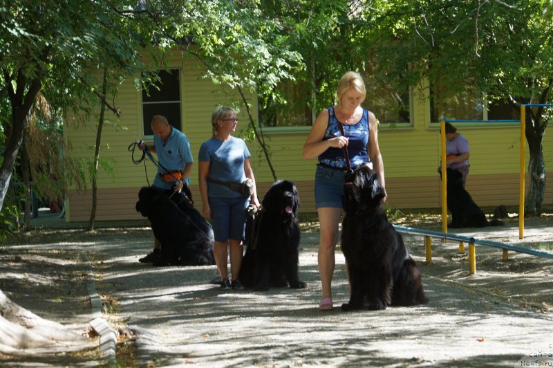 Фотография № 162245