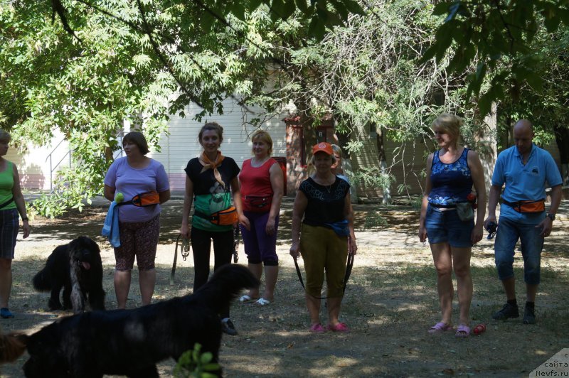 Фотография № 162246