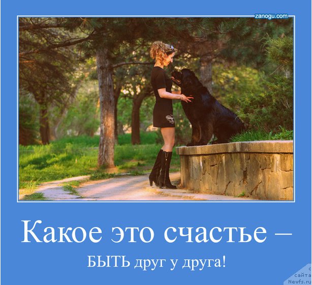 Фотография № 162253