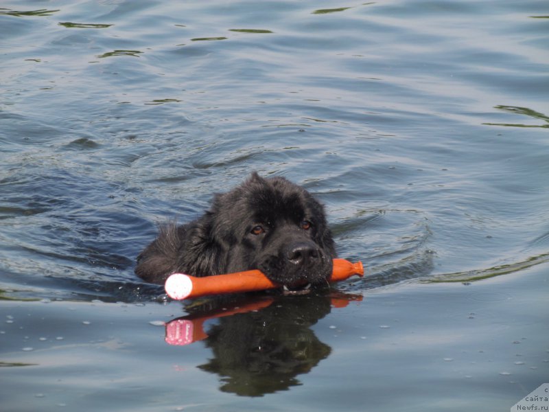 Фотография № 162254