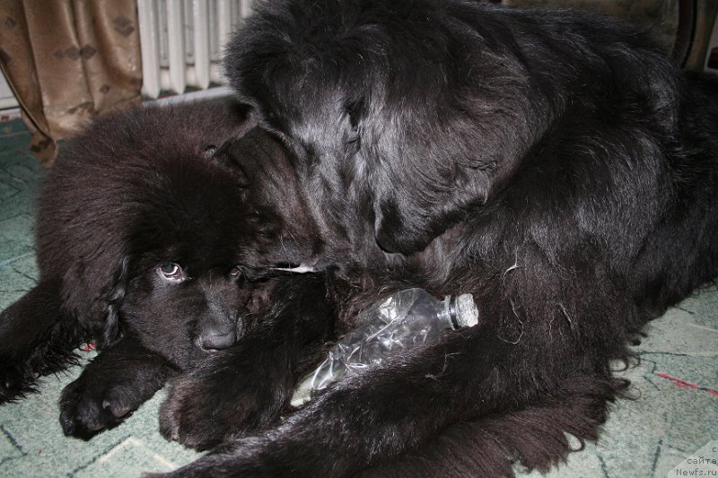 Фотография № 162258