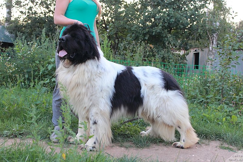 Фотография № 162259