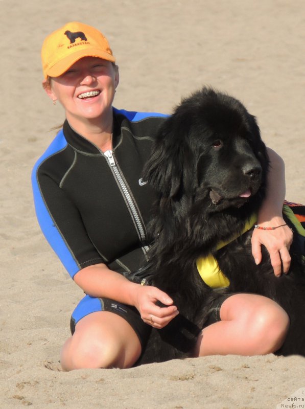 Фото: ньюфаундленд Би Перфект Арабелла, Ирина Павлова