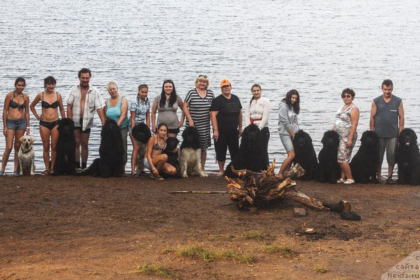 Фотография № 162313