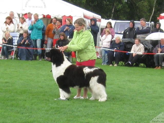 Фотография № 16233