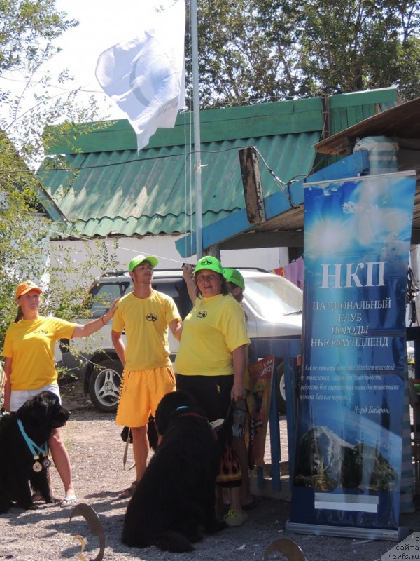 Фото: Ирина Павлова, ньюфаундленд Би Перфект Арабелла, Александр Файзулин, Лилиана Рахматова, ньюфаундленд Матвей с Берега Дона (Matvey s Berega Dona)